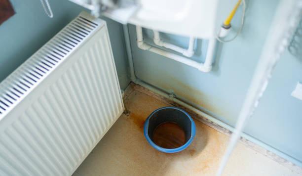 Best Ceiling water damage repair  in Atlantic Beach, FL
